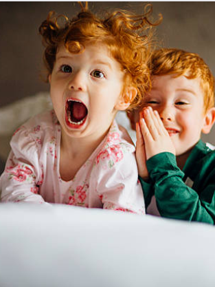 toilette sans rinçage