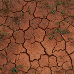 se laver sans eau
