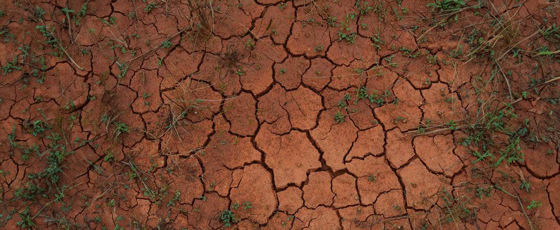 L’impact environnemental de la douche